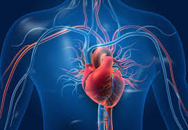 Green World Herbal Products for Blood Circulation